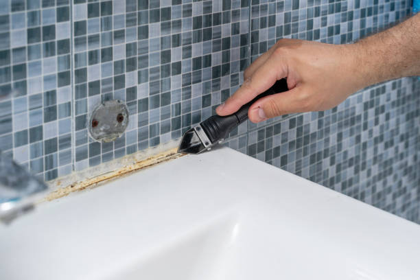 Best Black Mold Removal  in Fourche Crossing, LA